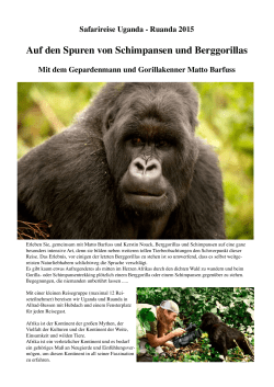 Auf den Spuren von Schimpansen und Berggorillas