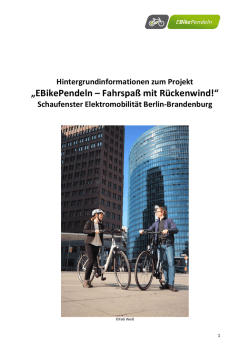 Hintergrundinformationen zum Projekt