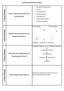 Grundwissen Biologie 6. Klasse
