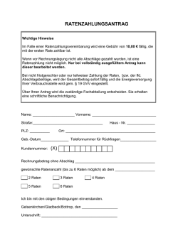 ELE Antrag zur Ratenzahlung