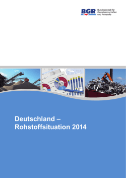 Deutschland - Rohstoffsituation 2014 - BGR