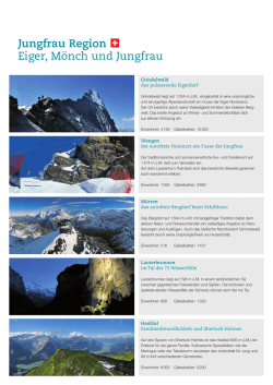 Sales Flyer_Download