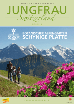 Switzerland - Alpengarten Schynige Platte