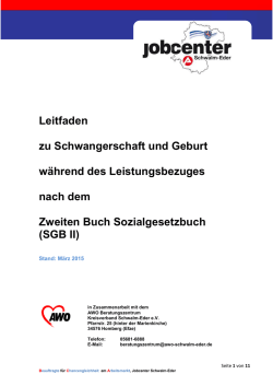 Leitfaden Schwangerschaft und Geburt - Jobcenter Schwalm-Eder