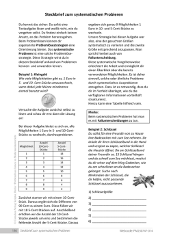 Steckbrief zum systematischen Probieren