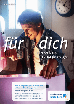 heidelberg STROM fix 2017/2