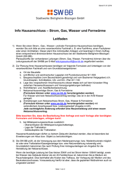 Info Hausanschluss &ndash; Strom, Gas, Wasser und Fernw&auml;rme Leitfaden