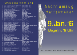Downloads_files/Flyer Nachtumzug 2016