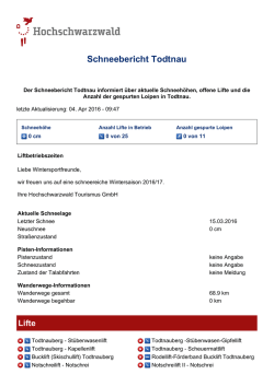 Schneebericht Todtnau