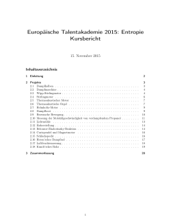Europäische Talentakademie 2015: Entropie Kursbericht