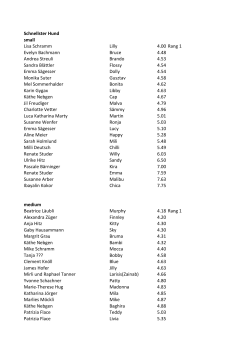 Rangliste schnellster Hund Blatt1