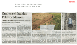 Graben sch&uuml;tzt das Feld vor M&auml;usen