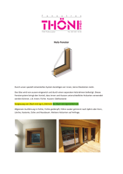 Holz-Fenster