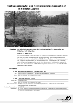 Hochwasserschutz- und Revitalisierungsmass nahmen im Selhofen