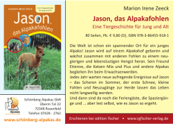 Jason, das Alpakafohlen