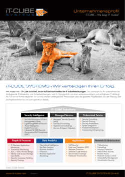 Unternehmensprofil iT-CUBE SYSTEMS