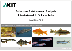 Humane T&ouml;tungsmethoden f&uuml;r Fische