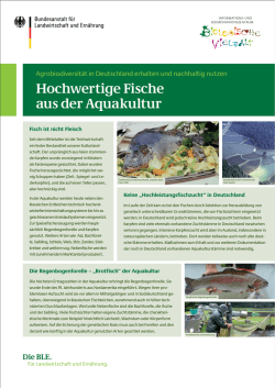 Hochwertige Fische aus der Aquakultur