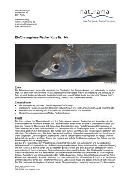 Einführungskurs Fische - Aarg. Fischereiverband
