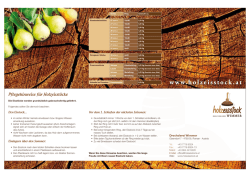 Pflegehinweise - Holzeisstock