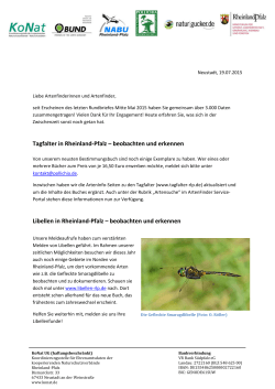 Tagfalter in Rheinland-Pfalz – beobachten und erkennen Libellen in
