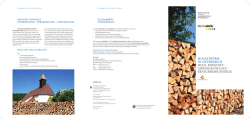 HOLZSTR&Ouml;ME IN &Ouml;STERREICH HOLZ: ROHSTOFF
