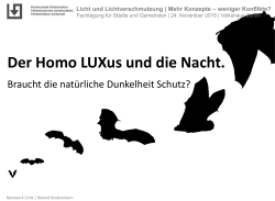 Der Homo LUXus und die Nacht, Roland