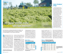 Im Gras steckt mehr Protein, als Sie meinen