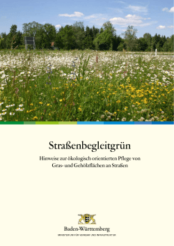Hinweise zur &ouml;kologisch orientierten Pflege von Gras