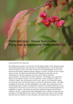 Pfaffenhuetchen - Naturheilpraxis