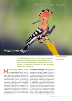 Haubentr&auml;ger