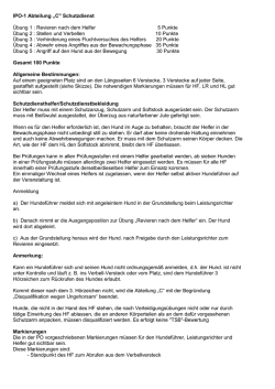 C" Schutzdienst Übung 1 : Revieren nach dem Helfer 5 Punkte