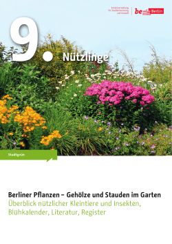 Berliner Pflanzen - Gehölze und Stauden im Garten