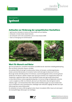 Igelnest - Naturmodule