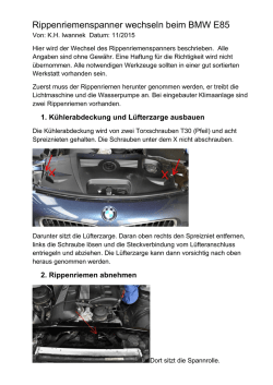 Rippenriemenspanner wechseln beim BMW E85