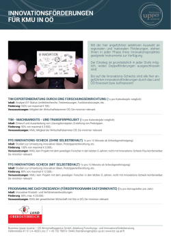Infoblatt Innovationsf&ouml;rderung