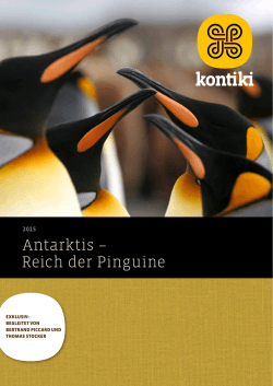 Antarktis – Reich der Pinguine