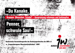 Du Kanake, Penner, schwule Sau!&laquo;