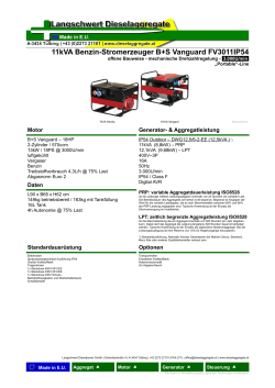11kVA Benzin-Stromerzeuger B+S Vanguard FV3011IP54