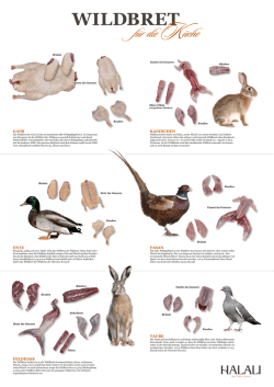 HALALI-Wildbret-Poster-Niederwild