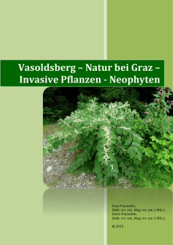 12 Vasoldsberg-Natur bei Graz, invasive Pflanzen