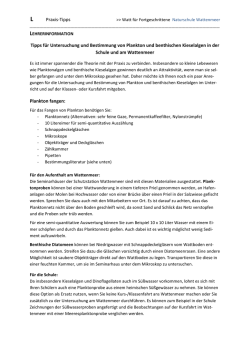 Tipps f&uuml;r Untersuchung und Bestimmung von Plankton und