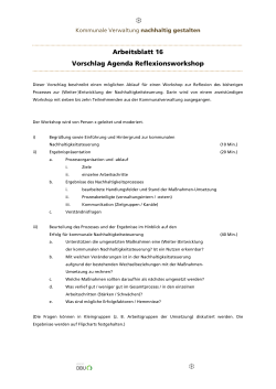 Arbeitsblatt 16:Vorschlag Agenda Reflexionsworkshop (fileadmin