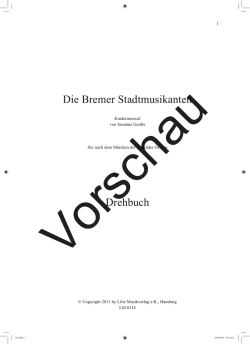 Die Bremer Stadtmusikanten Drehbuch