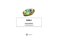 Zelle I - WinBIAP.net