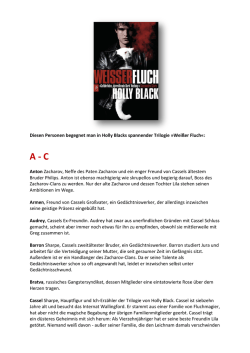 Diesen Personen begegnet man in Holly Blacks spannender Trilogie