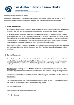 Info Praktikumsbericht EF