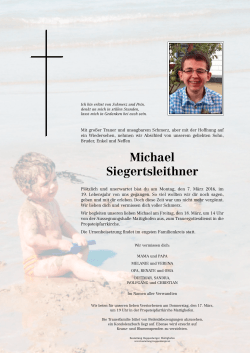 Michael Siegertsleithner - Leistungen