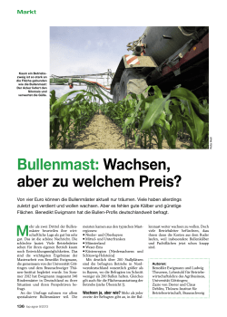 Bullenmast: Wachsen, aber zu welchem Preis?