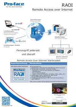 Remote Access over Internet - Pro